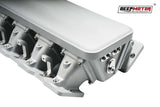 Deepmotor LS1 LS2 LS6 102mm Casting Bolted Intake Manifold with Fuel Rail Silver